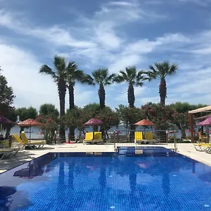 Yilmaz 2*, Ortakent Türkiye